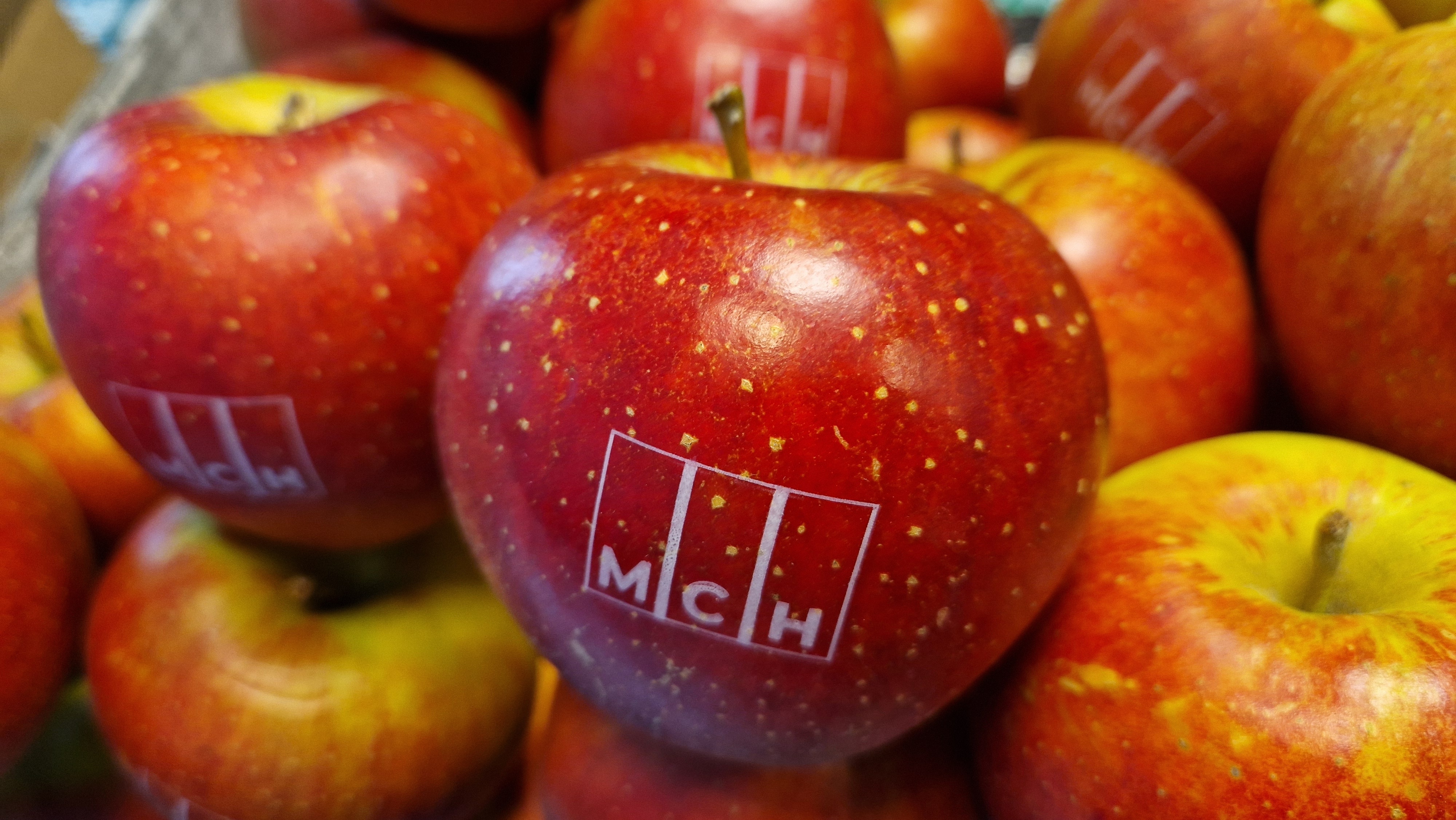 Van harte welkom op onze sociale media kanalen!