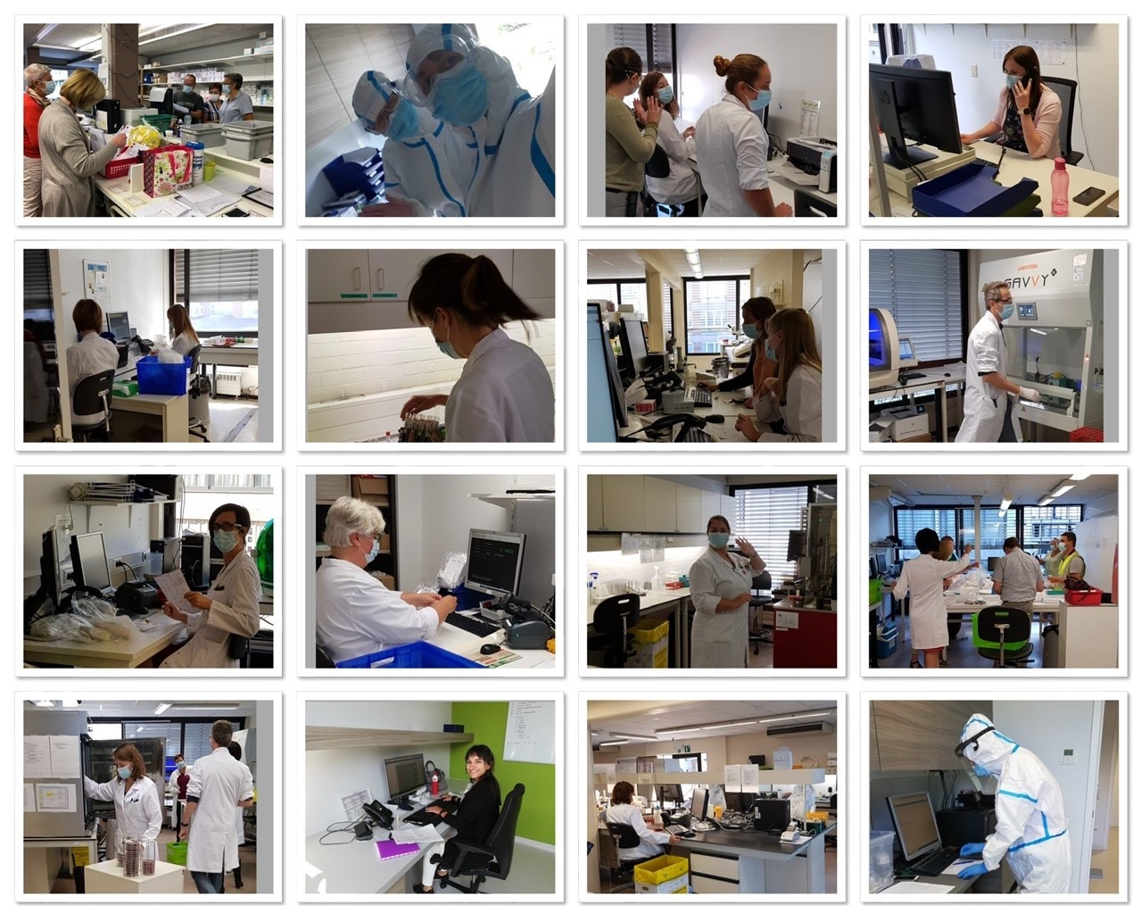 Collage finaal website