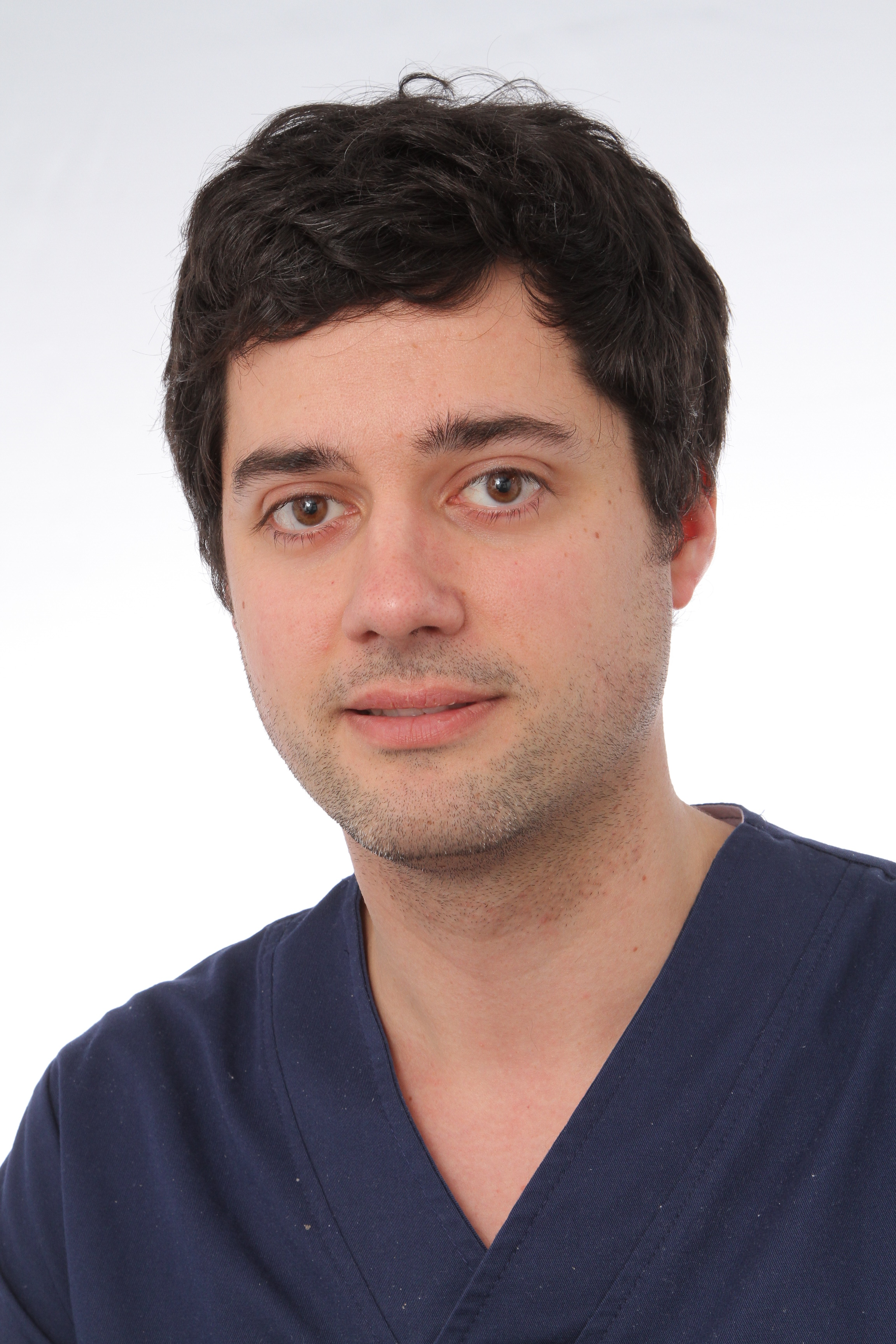 prof. dr. Haemers Peter