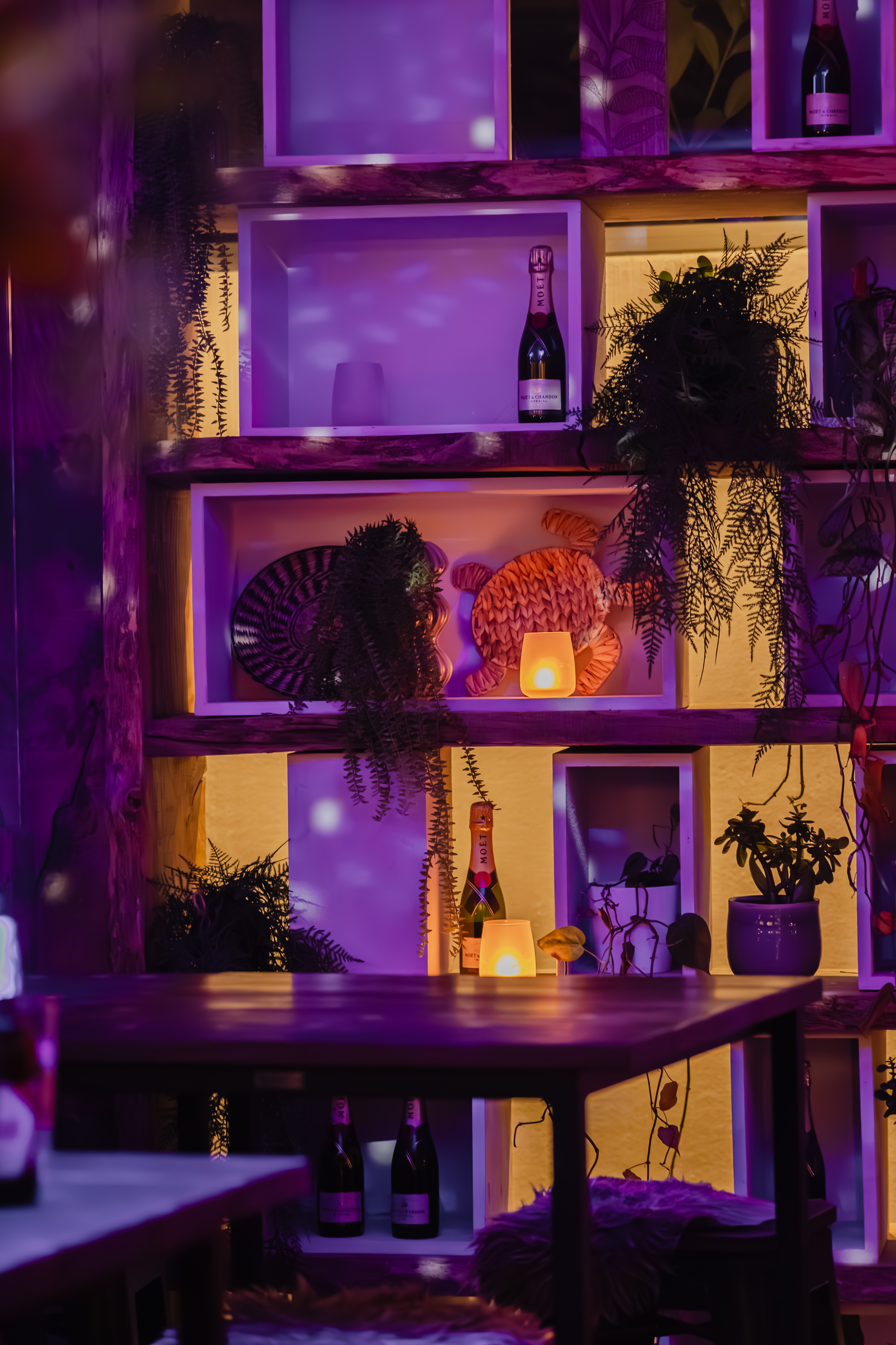 Lakehouse do vrij 205